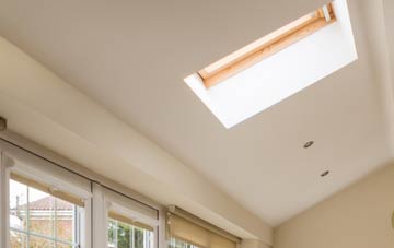 Litton conservatory roof insulation companies