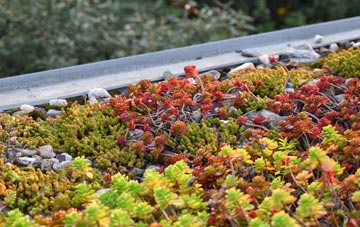 the cost of Litton green roof installation