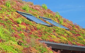 Litton living roof systems