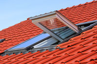 Litton roof window