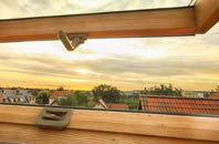 rated Litton roof window companies
